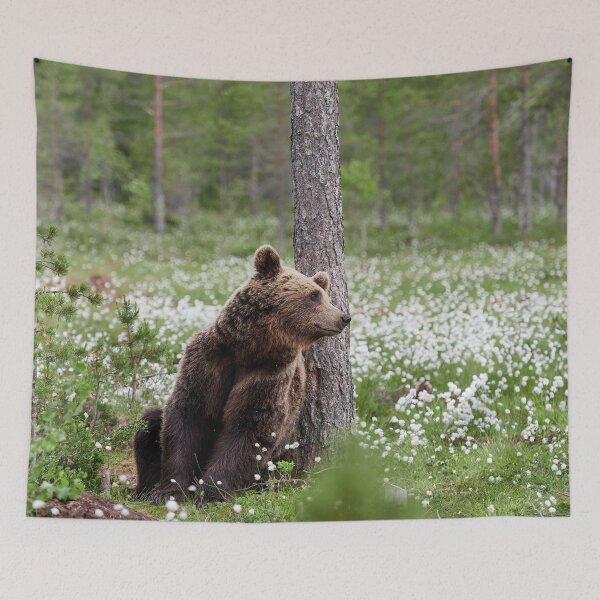 Item preview, Just missing someone. Hare's-tail cottongrass and Brown bear 42 designed and sold by Jouko Lehto Photography.