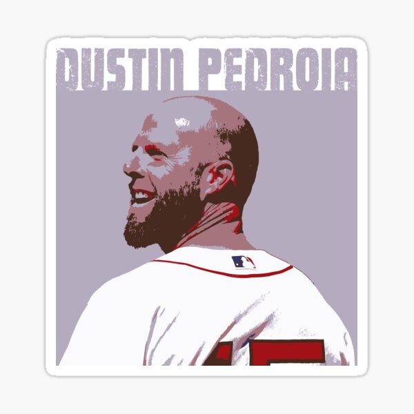 dustin pedroia net worth