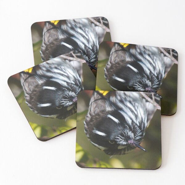 Item preview, Honeyeater up close designed and sold by notjustamwac.