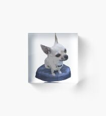Beanie Baby Cisco Acrylic Block
