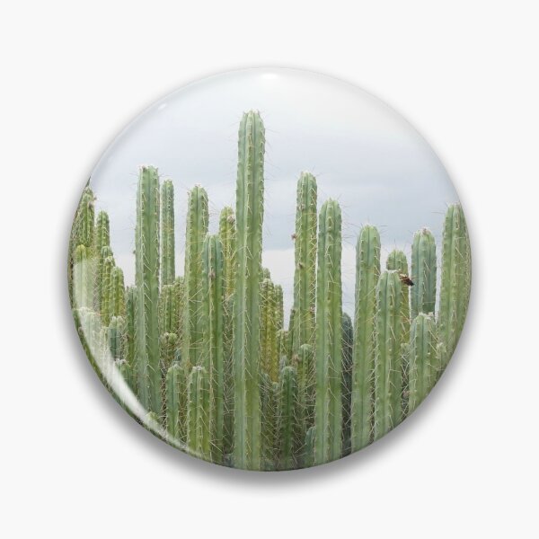 Item preview, Trichocereus Cactus San Pedro Jungle designed and sold by Cactee.