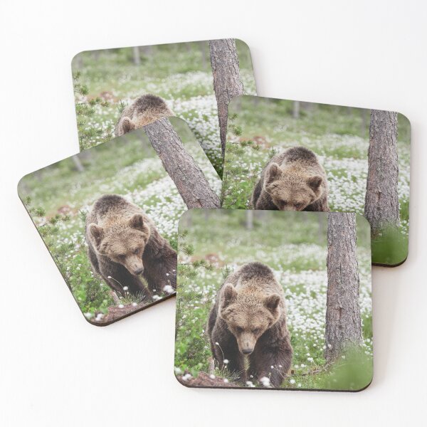 Item preview, Determined. Hare's-tail cottongrass and Brown bear 44 designed and sold by Jouko Lehto Photography.