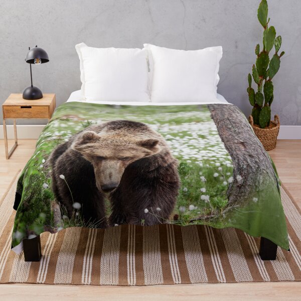 Item preview, Determined. Hare's-tail cottongrass and Brown bear 44 designed and sold by Jouko Lehto Photography.