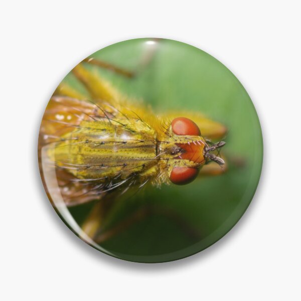 Item preview, Fly on leaf designed and sold by LifesTooBig.