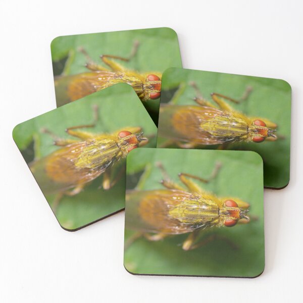 Item preview, Fly on leaf designed and sold by LifesTooBig.