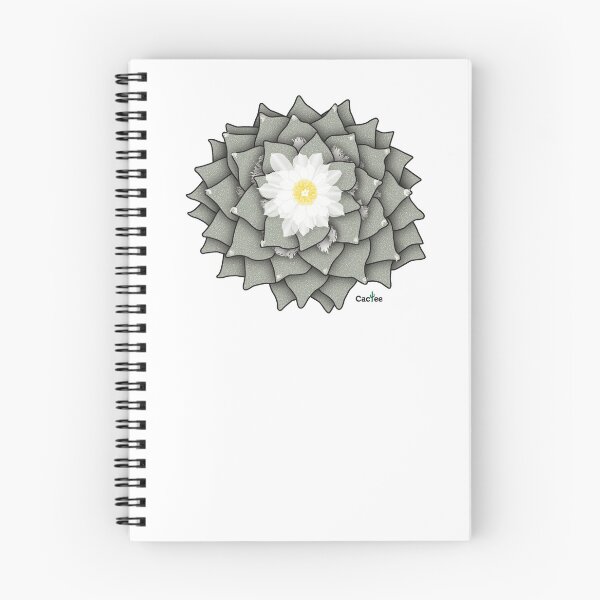Item preview, Ariocarpus Retusus - Living Rock Cactus designed and sold by Cactee.
