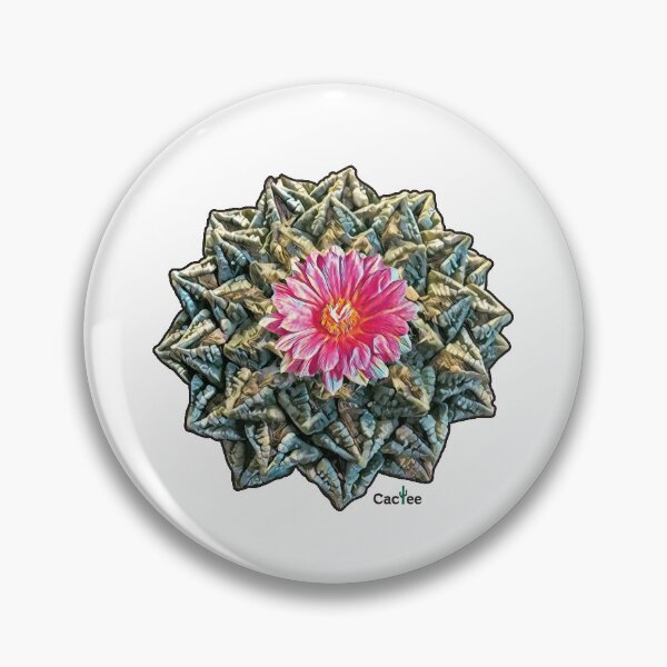Item preview, Ariocarpus Fissuratus - Living Rock Cactus designed and sold by Cactee.