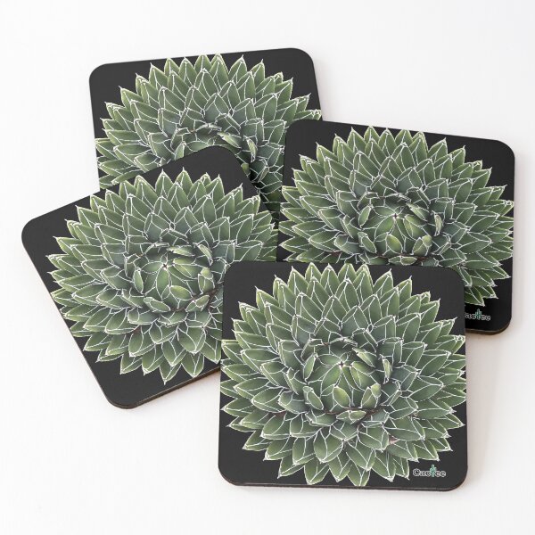 Item preview, Agave Victoria Reginae - Queen Agave designed and sold by Cactee.