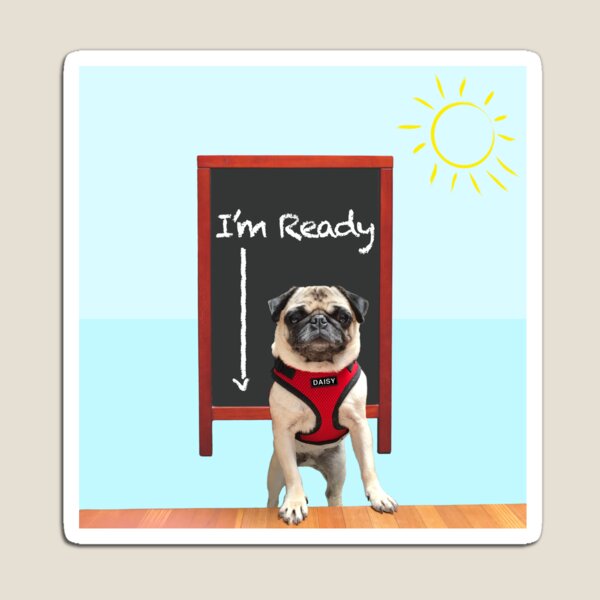 I'm Ready (Featuring Daisy Pug) – Magnet