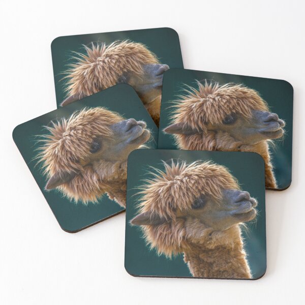 Item preview, Fluffy Alpaca designed and sold by TVD-Photography.