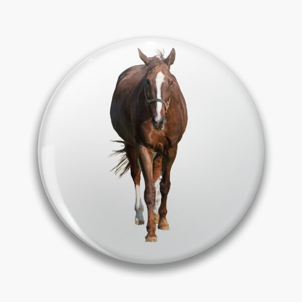 Item preview, horse on a pasture and isolated designed and sold by OskiOnTour.