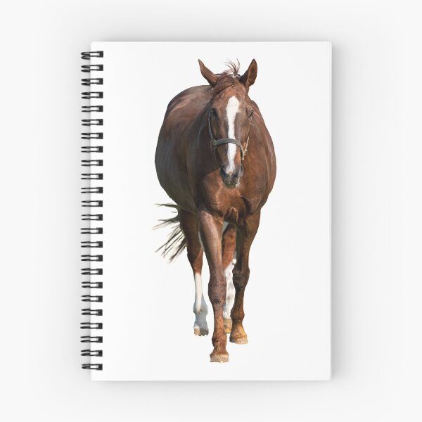 Item preview, horse on a pasture and isolated designed and sold by OskiOnTour.
