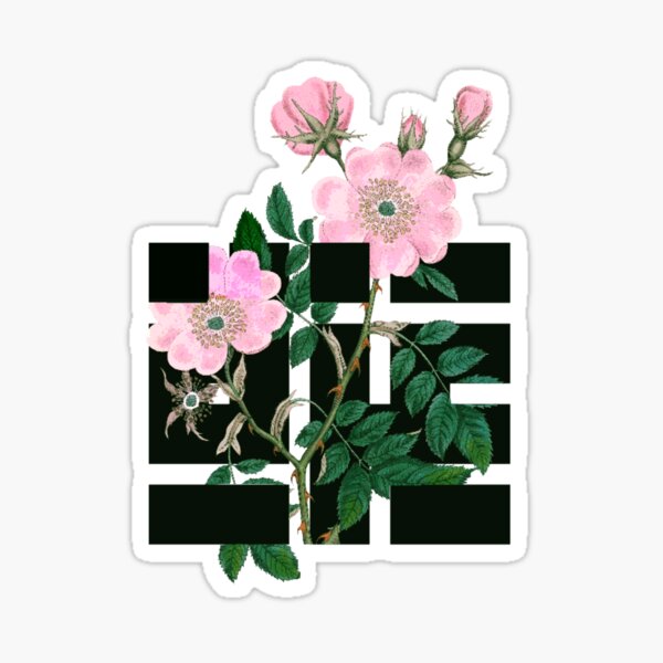 Item preview, Gaza _ غزة designed and sold by Dâr    Bâshar.