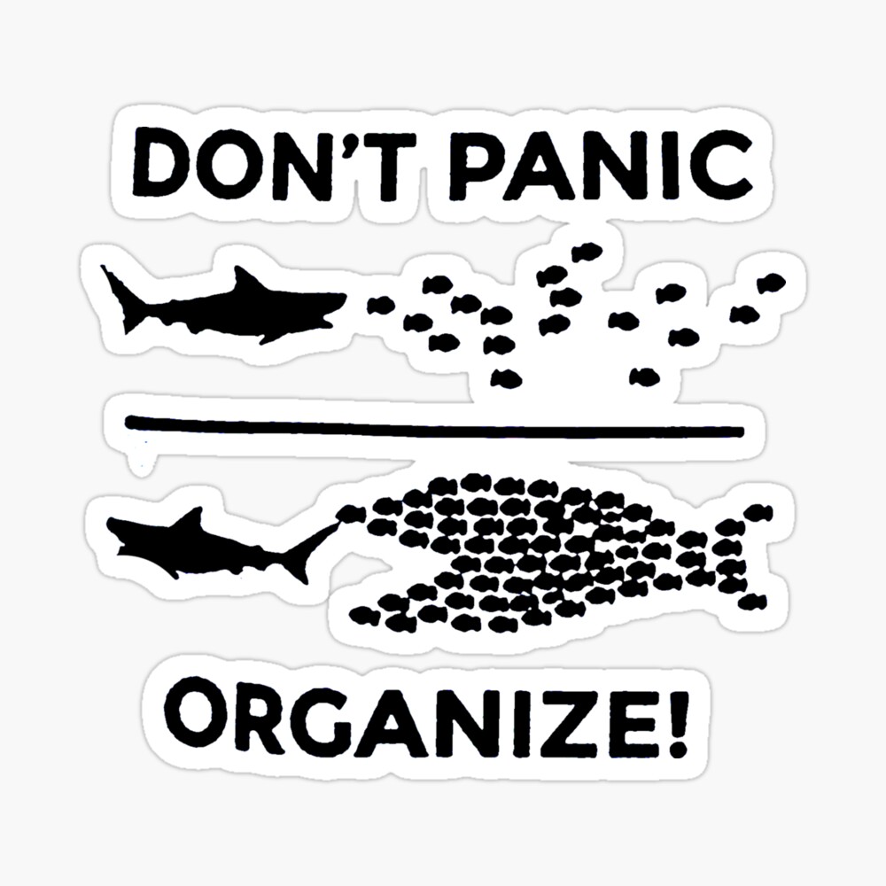 Pin on Organize