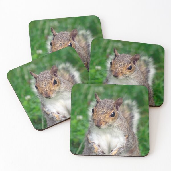 Item preview, Inquisitive Squirrel designed and sold by GingerMan2550.