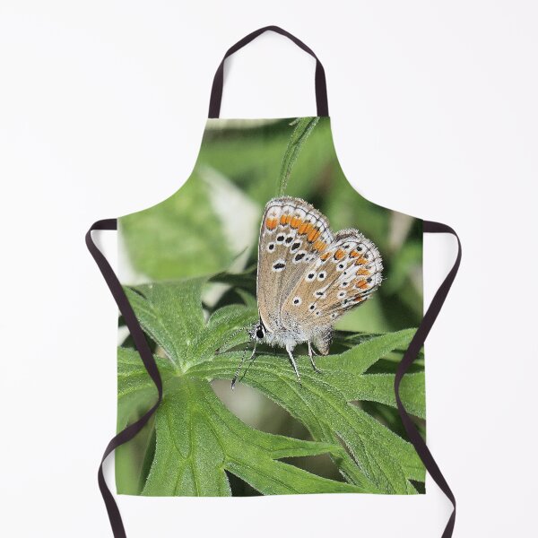 Item preview, r2901 / Finition 2021 -5- le Légendaire " Papillon en ponte " juin 2021 "  fz 2000 (c)(h) Olavia-Olao Okaio Créations  designed and sold by o.okaïo.
