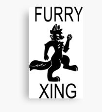 FURRY XING Canvas Print
