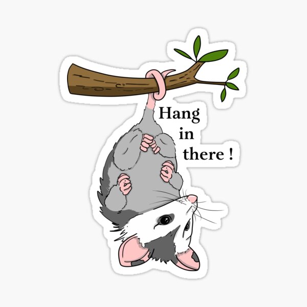 Hang in there Opossum! Sticker