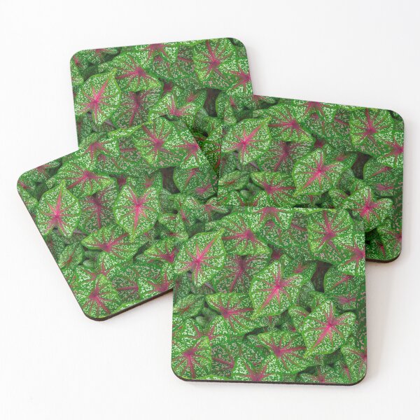 Item preview, Colocasia leaves designed and sold by miljuvarghese.