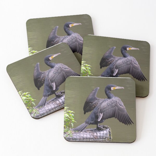 Item preview, Cormorant Display designed and sold by GingerMan2550.