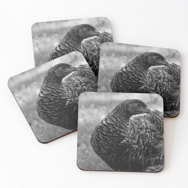 Item preview, Barred rock pullet  designed and sold by R-York.