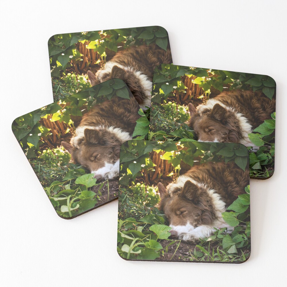 Item preview, Coasters (Set of 4) designed and sold by R-York.