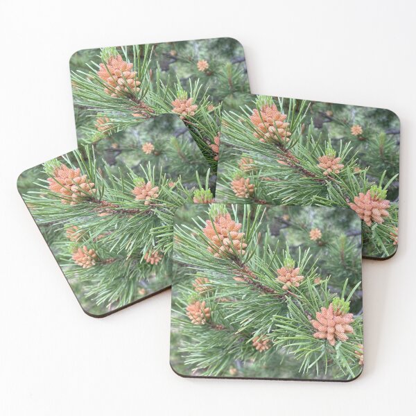 Item preview, pine buds designed and sold by roadwarriorart.