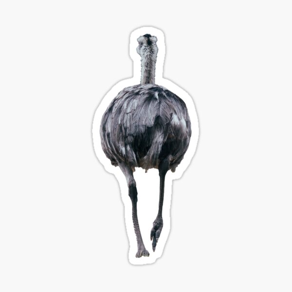nandu von hinten Sticker