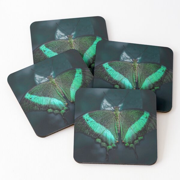 Item preview, Black and green butterfly on a leaf/Umi Butterfly designed and sold by shopcom.