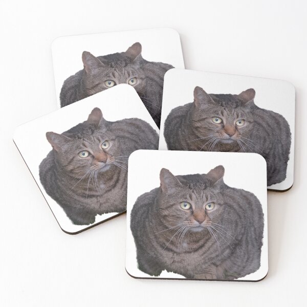 Item preview, tabby cat designed and sold by OskiOnTour.