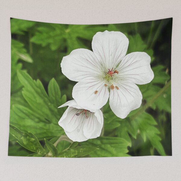 Item preview, Richardson's geranium designed and sold by roadwarriorart.