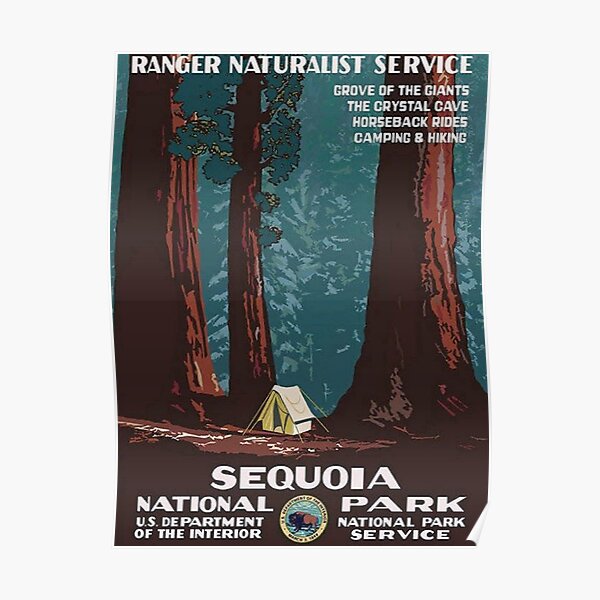 1938 Sequoia National Park Vintage Poster Poster