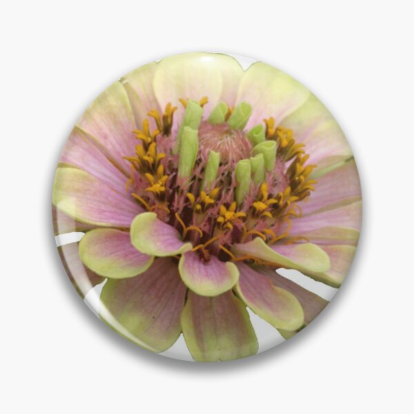 Item preview, Zinnia designed and sold by WeCloneU.