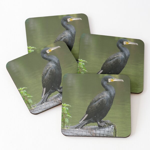 Item preview, Statuesque Cormorant. designed and sold by GingerMan2550.