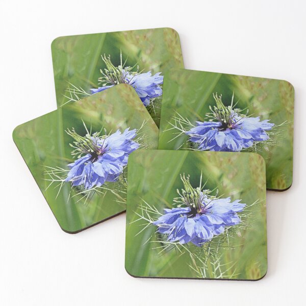Item preview, r2904 / Finition 2021 -3-  Fleur de Légende bleu " juin 2021 "  fz 2000 (c)(h) Olavia-Olao Okaio Créations  designed and sold by o.okaïo.