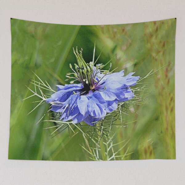 Item preview, r2904 / Finition 2021 -3-  Fleur de Légende bleu " juin 2021 "  fz 2000 (c)(h) Olavia-Olao Okaio Créations  designed and sold by o.okaïo.