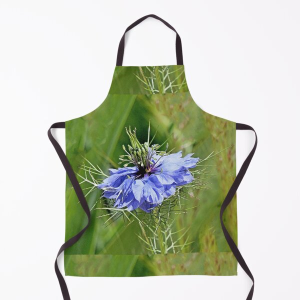 Item preview, r2904 / Finition 2021 -3-  Fleur de Légende bleu " juin 2021 "  fz 2000 (c)(h) Olavia-Olao Okaio Créations  designed and sold by o.okaïo.
