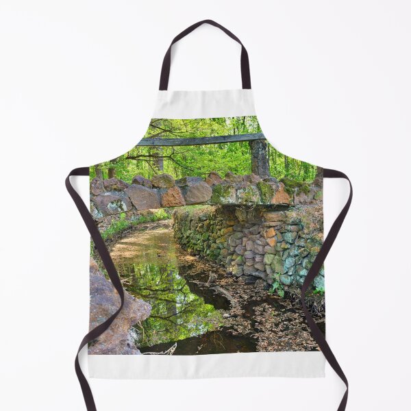 Item preview, Lee State Park South Carolina Stone Bridge designed and sold by LisaWootenPhoto.
