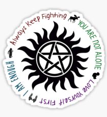 All the Campaigns Sticker