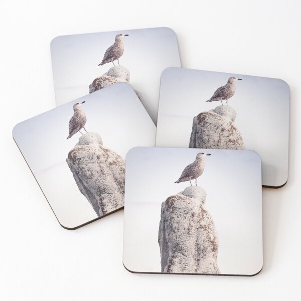 Item preview, Seagull on stature at the North Sea designed and sold by holgerbrandt.photo.