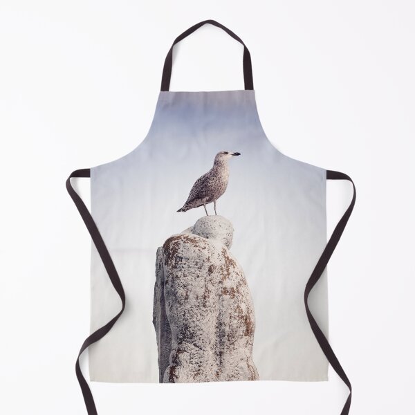 Item preview, Seagull on stature at the North Sea designed and sold by holgerbrandt.photo.