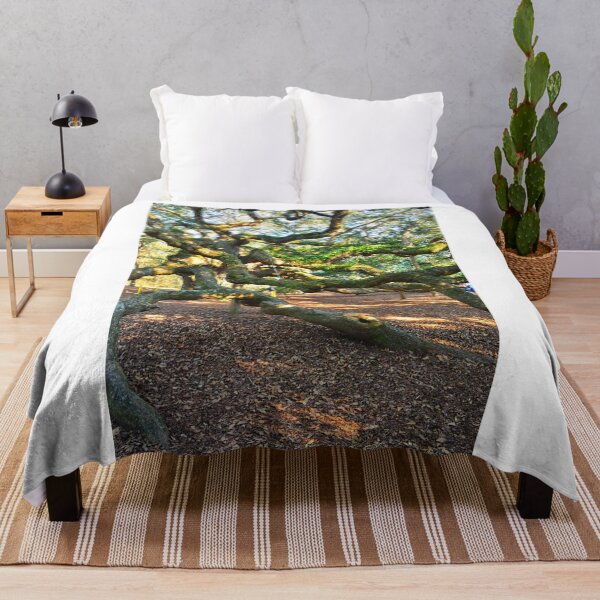 Item preview, John's Island Angel Oak Vertical designed and sold by LisaWootenPhoto.