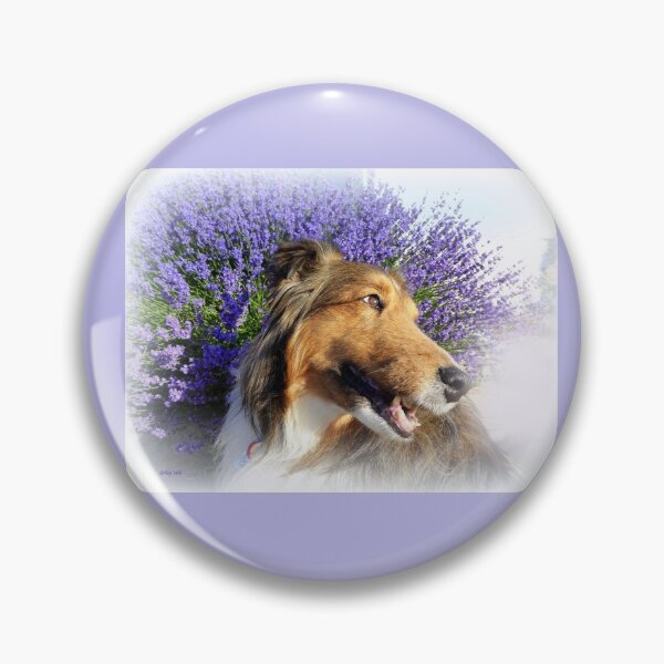 Item preview, Lavender and Sheltie designed and sold by LeRoyM.