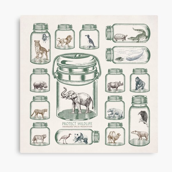 Protect Wildlife - Endangered Species Preservation Canvas Print