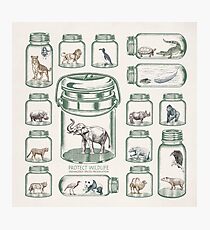 Protect Wildlife - Endangered Species Preservation Photographic Print