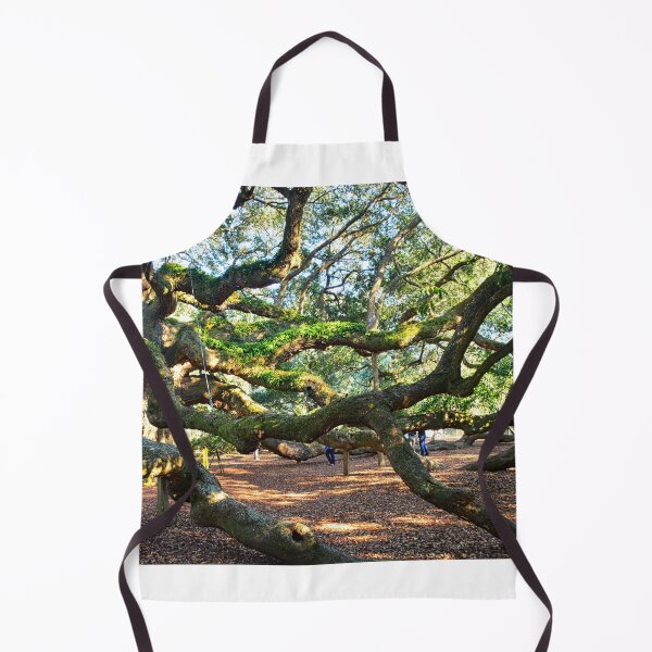 Item preview, John's Island Angel Oak designed and sold by LisaWootenPhoto.