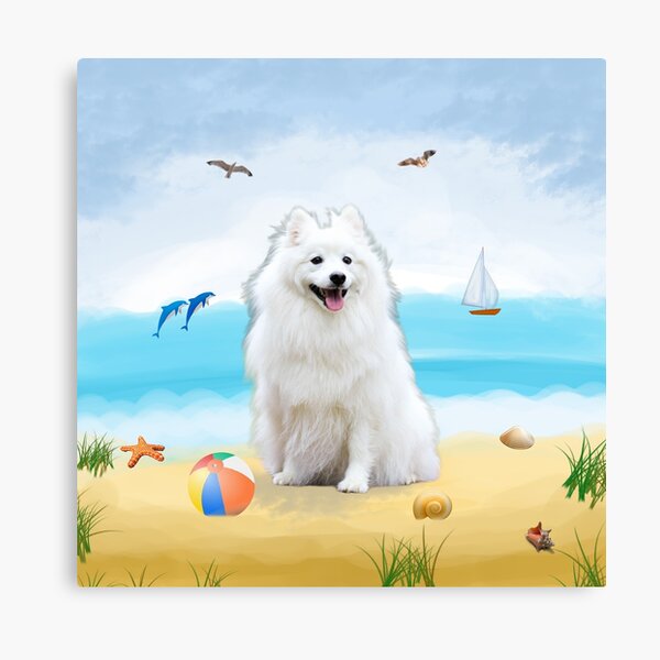 leinwanddrucke spitz redbubble