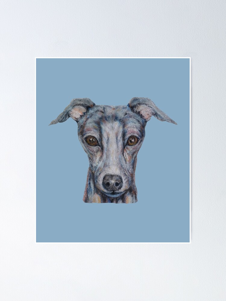 "super cute whippet" Poster for Sale by candimoonart Redbubble