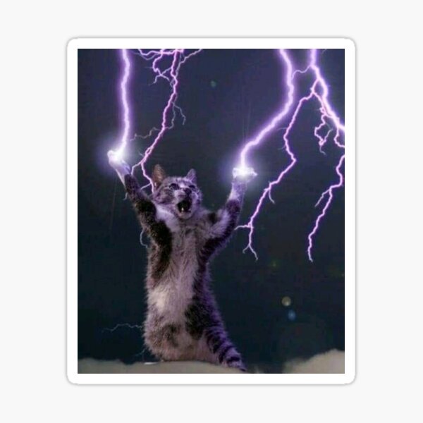 Lightning Cat Gifts & Merchandise for Sale | Redbubble