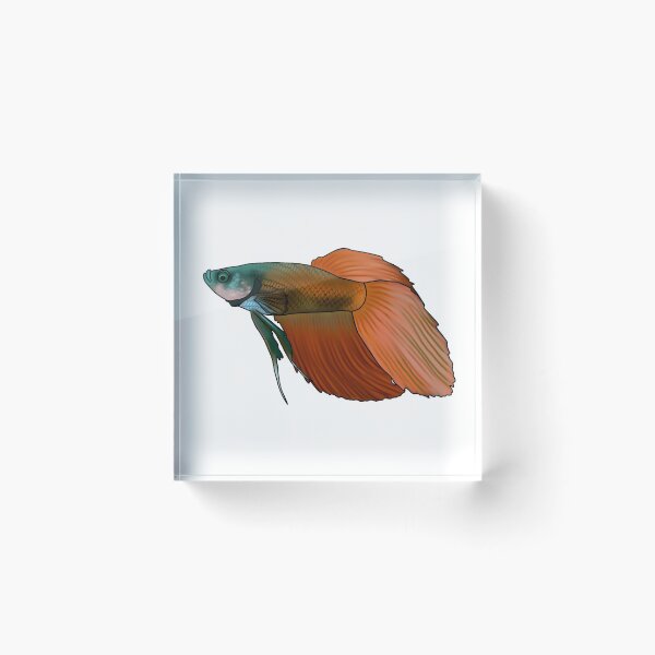 Item preview, Betta designed and sold by Eversonarts.